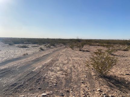 Land in Reeves County, Texas