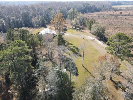 Farm and Ranch in Geneva County, Alabama