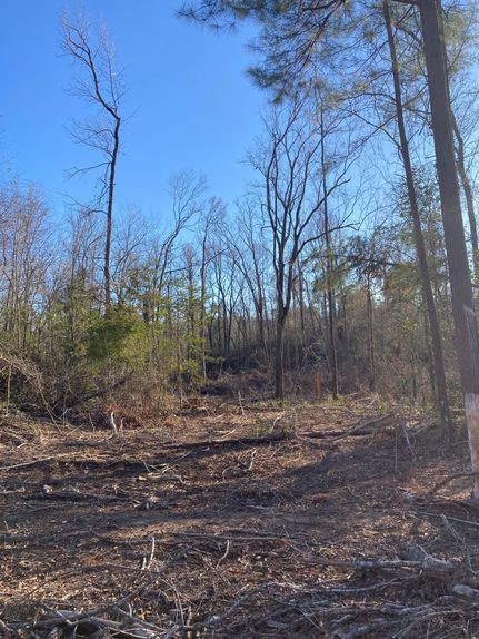 Hunting Property in Jasper County, Texas