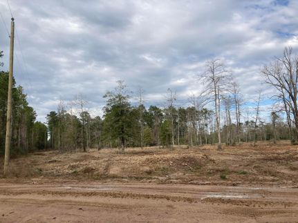 Hunting Property in Jasper County, Texas