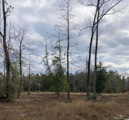 Riverfront Property in Jasper County, Texas