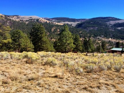 Timberland Property in Hinsdale County, Colorado