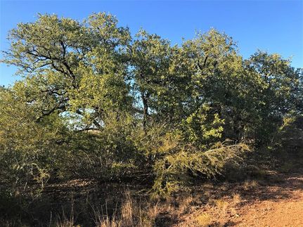 Farm and Ranch in Frio County, Texas