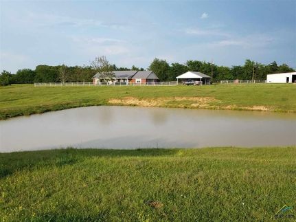 Timberland Property in Morris County, Texas