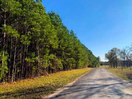 Timberland Property in Walker County, Texas