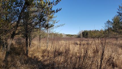 Farm and Ranch in Adams County, Wisconsin
