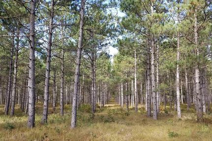 Recreational Property in Adams County, Wisconsin