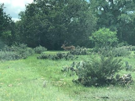 Farm and Ranch in Burnet County, Texas