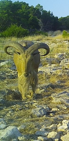 Land in Edwards County, Texas