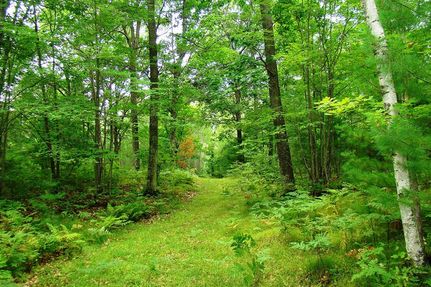 Timberland Property in Oneida County, Wisconsin