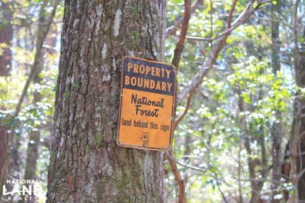 Land in Berkeley County, South Carolina