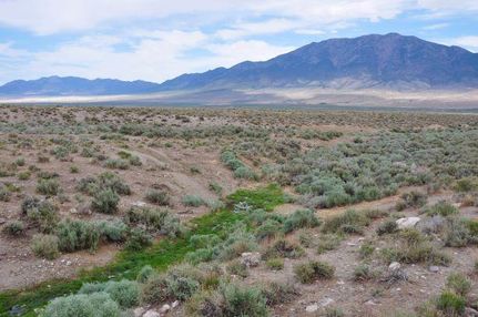 Timberland Property in Elko County, Nevada