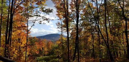 Farm and Ranch in Oxford County, Maine