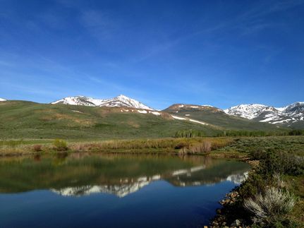 Timberland Property in Elko County, Nevada