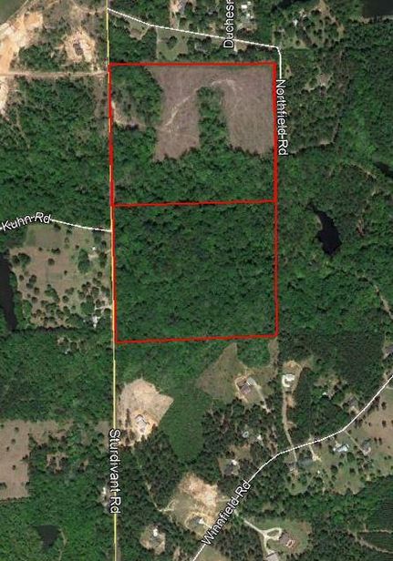Timberland Property in Ouachita Parish, Louisiana
