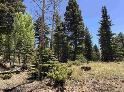 Farm and Ranch in Colfax County, New Mexico