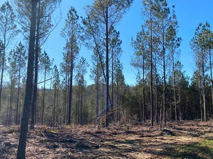 Recreational Property in Lawrence County, Alabama