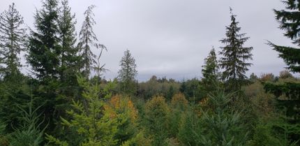 Farm and Ranch in Kitsap County, Washington