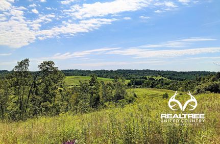 Undeveloped Land in Vinton County, Ohio