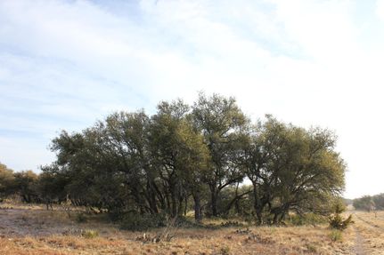 Undeveloped Land in Schleicher County, Texas