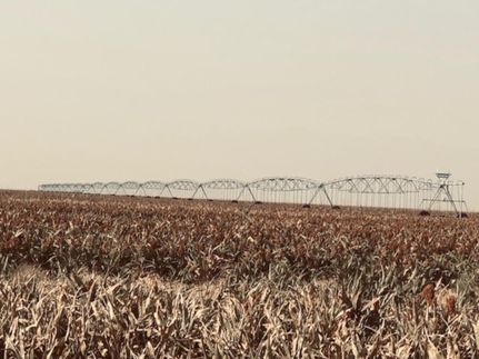Farm and Ranch in Moore County, Texas