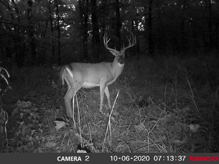 Hunting Property in Rogers County, Oklahoma