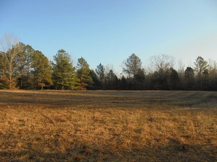Hunting Property in Henry County, Tennessee