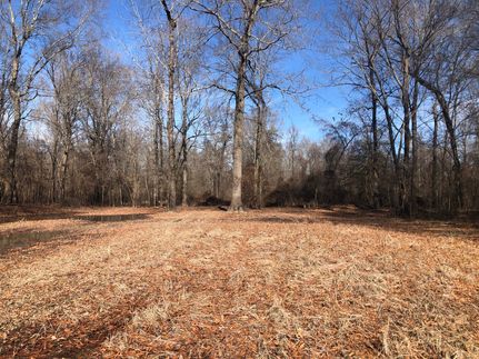 Recreational Property in Sharkey County, Mississippi