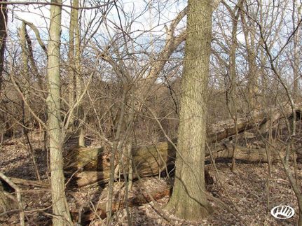 Hunting Property in Noble County, Indiana