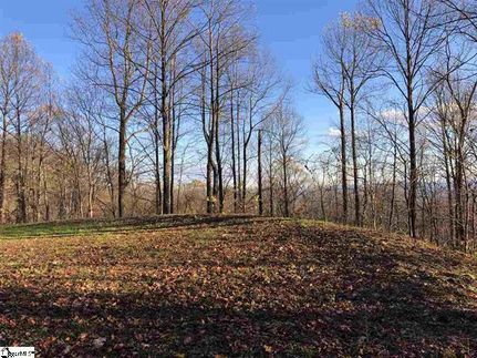 Undeveloped Land in Greenville County, South Carolina