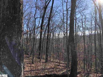 Farm and Ranch in Greenville County, South Carolina