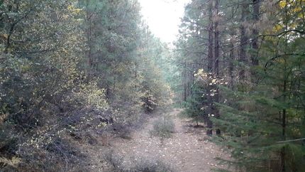 Recreational Property in Shasta County, California