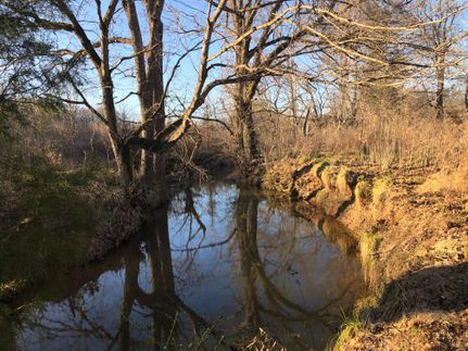 Timberland Property in Abbeville County, South Carolina