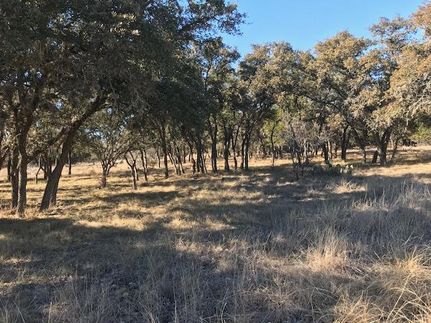 Undeveloped Land in Uvalde County, Texas