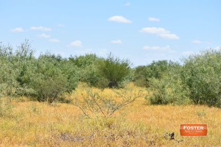 Farm and Ranch in Starr County, Texas