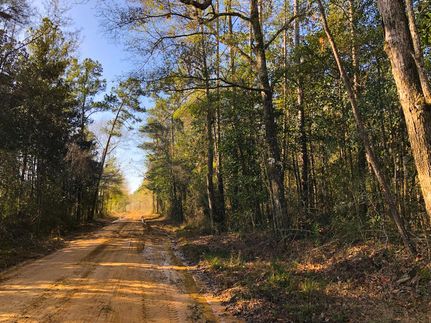 Hunting Property in Tyler County, Texas