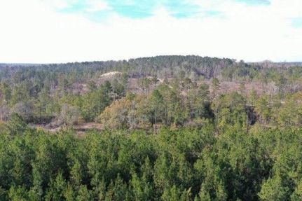 Undeveloped Land in Twiggs County, Georgia