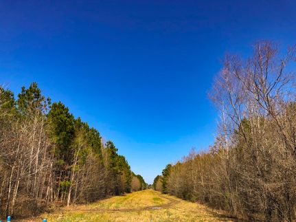 Farm and Ranch in Liberty County, Texas