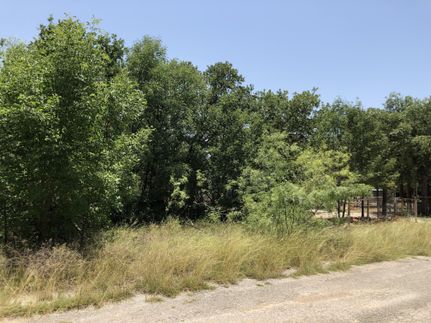 Undeveloped Land in Wise County, Texas