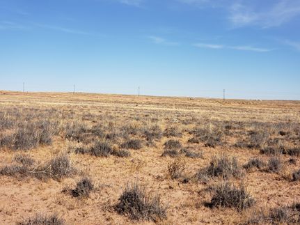 Undeveloped Land in Apache County, Arizona
