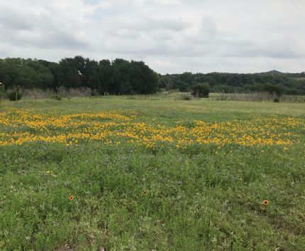 Undeveloped Land in Blanco County, Texas