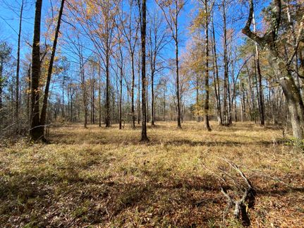 Recreational Property in Conecuh County, Alabama