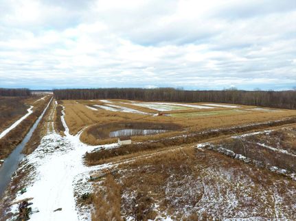 Timberland Property in Tuscola County, Michigan