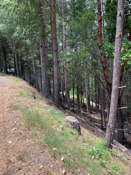 Undeveloped Land in Lake County, California