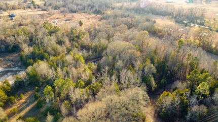 Timberland Property in Titus County, Texas