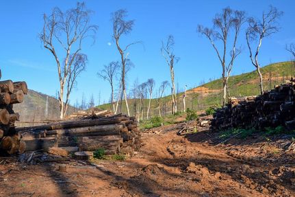 Farm and Ranch in Shasta County, California