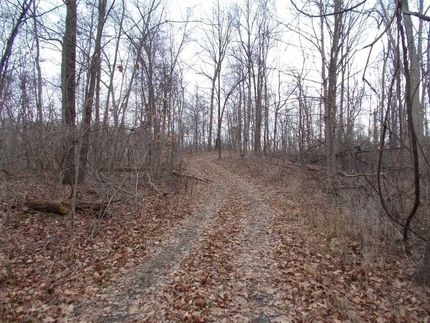 Land in Vigo County, Indiana