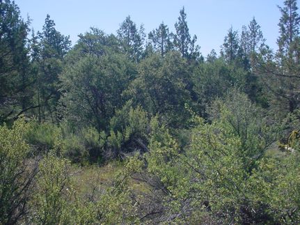 Undeveloped Land in Klamath County, Oregon