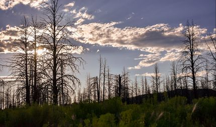 Farm and Ranch in Klamath County, Oregon