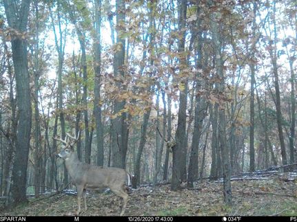 Recreational Property in Marquette County, Wisconsin